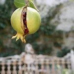 Bed & Breakfast La Corte De' Vasari Bevagna