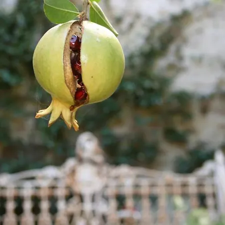 Bed & Breakfast La Corte De' Vasari Bevagna