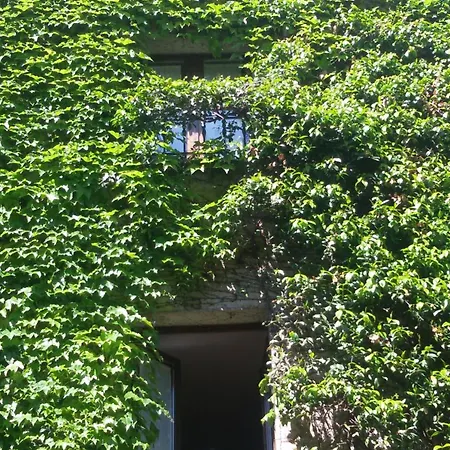 La Corte De' Vasari Bevagna